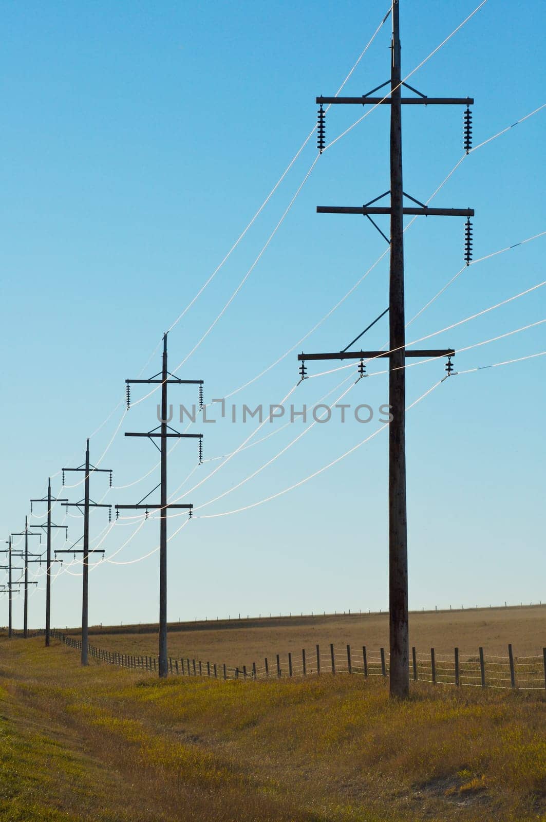 Electricity Pylons