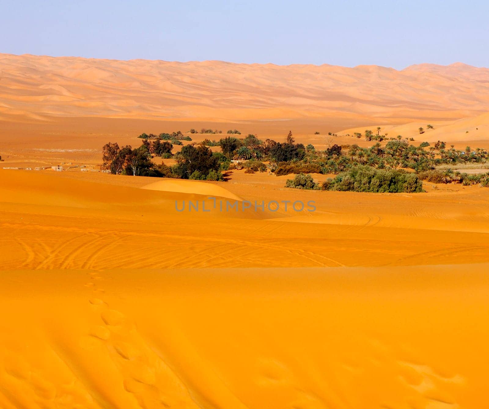 Mandara Oasis in the Ubari Sand Sea,Sahara Desert,Libya