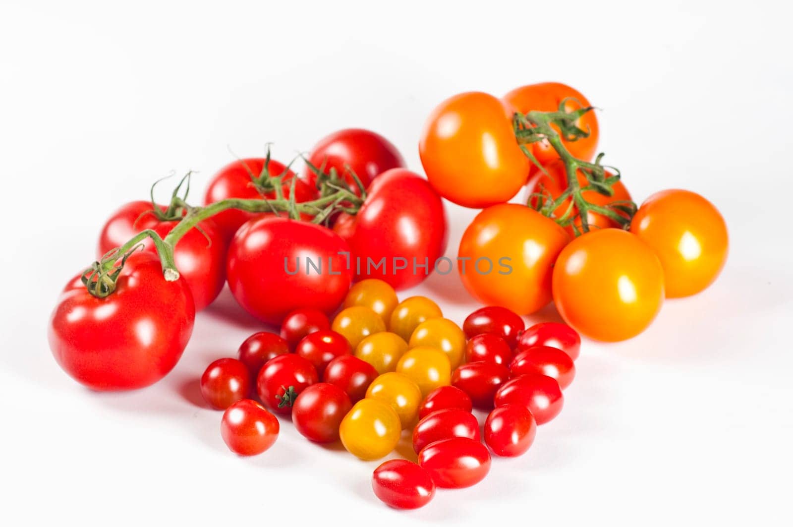 Tomatoes on white background