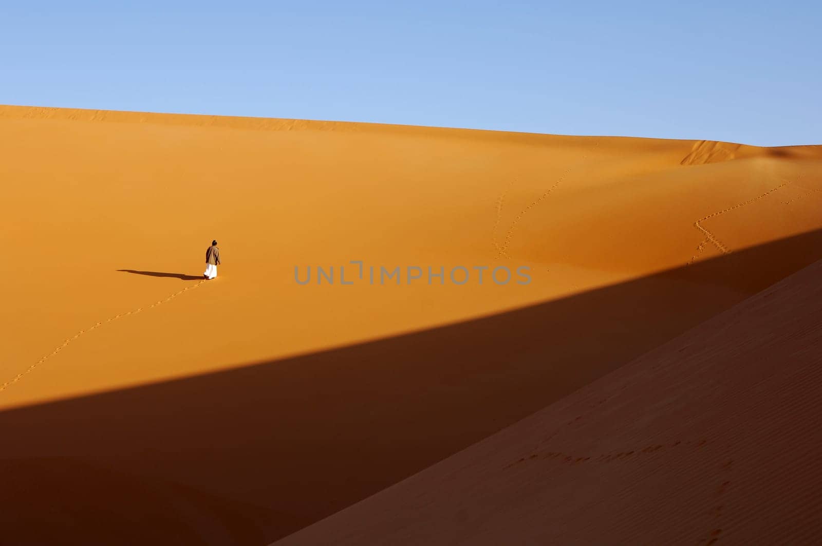 Desert Wanderer