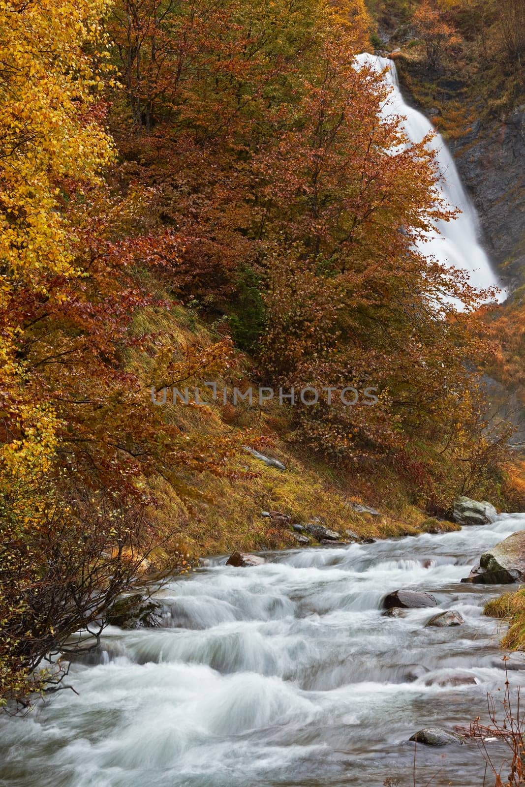 Autumn brook