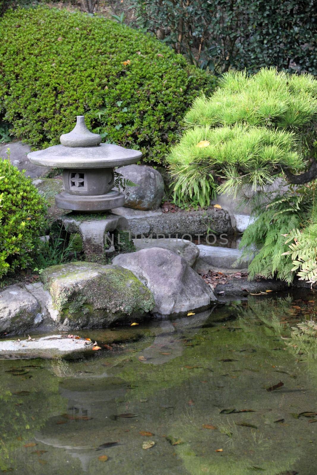Zen garden