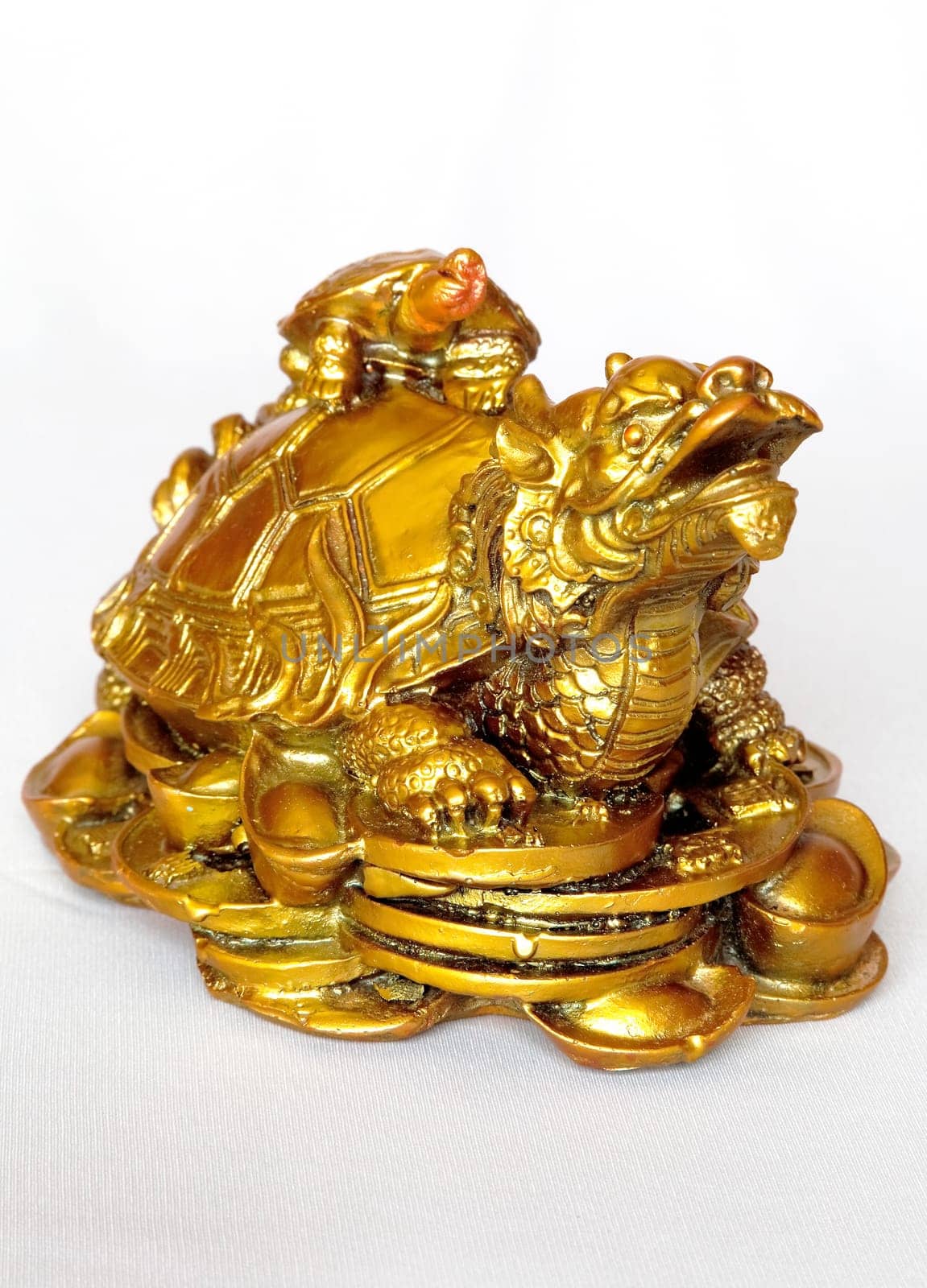 golden mother and baby turtle