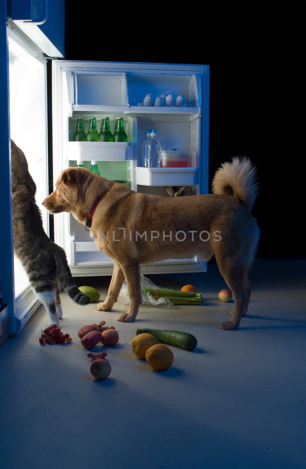 Midnight snacks