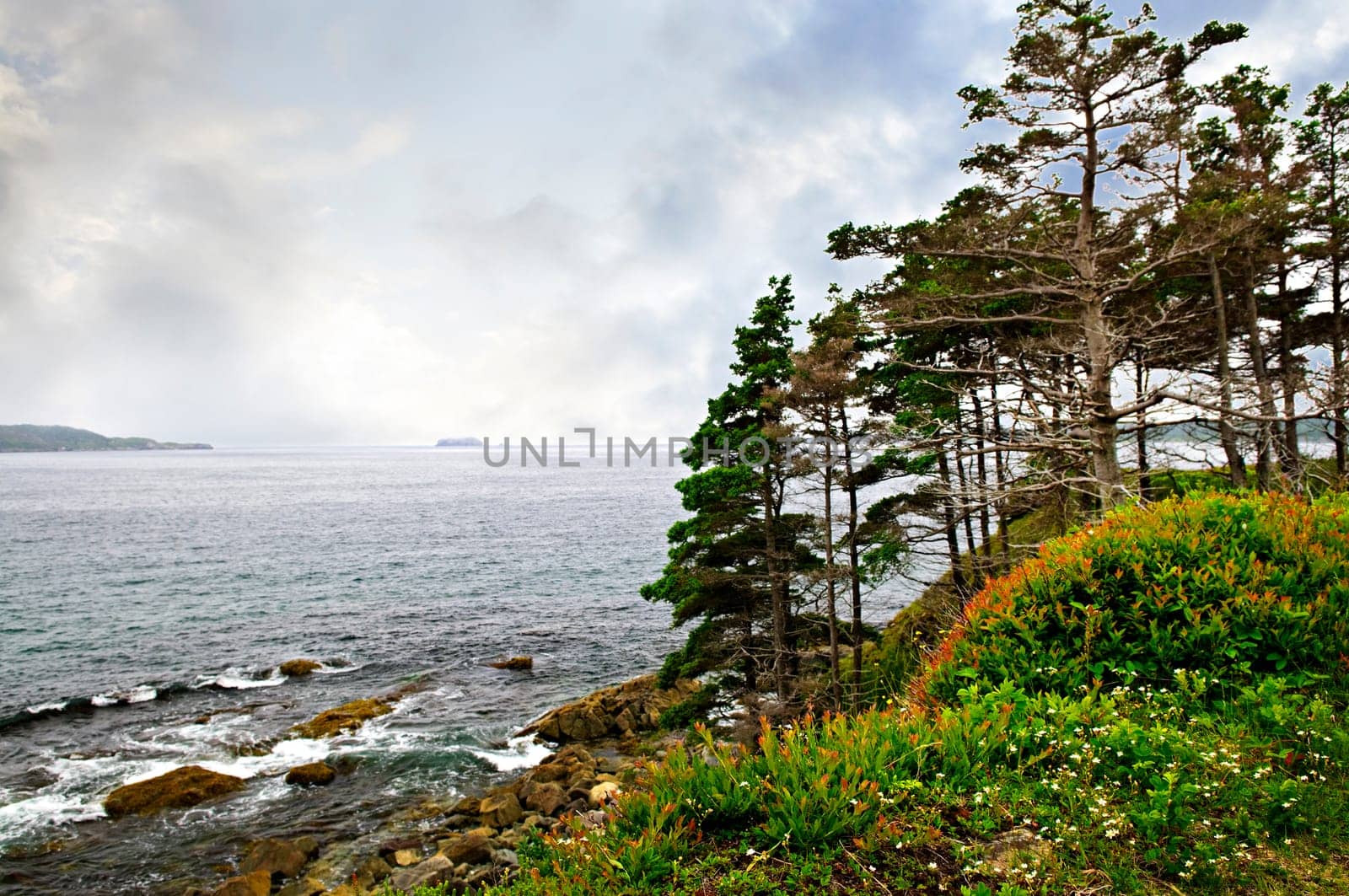 Atlantic coast in Newfoundland