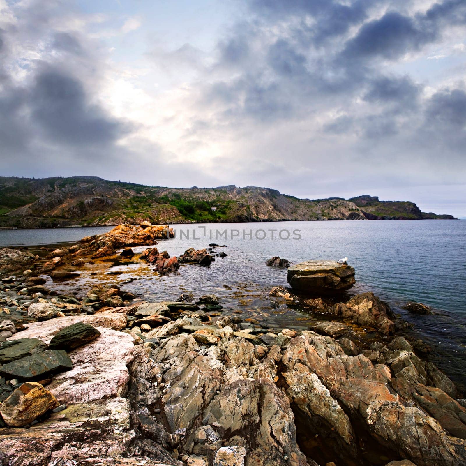 Atlantic coast in Newfoundland
