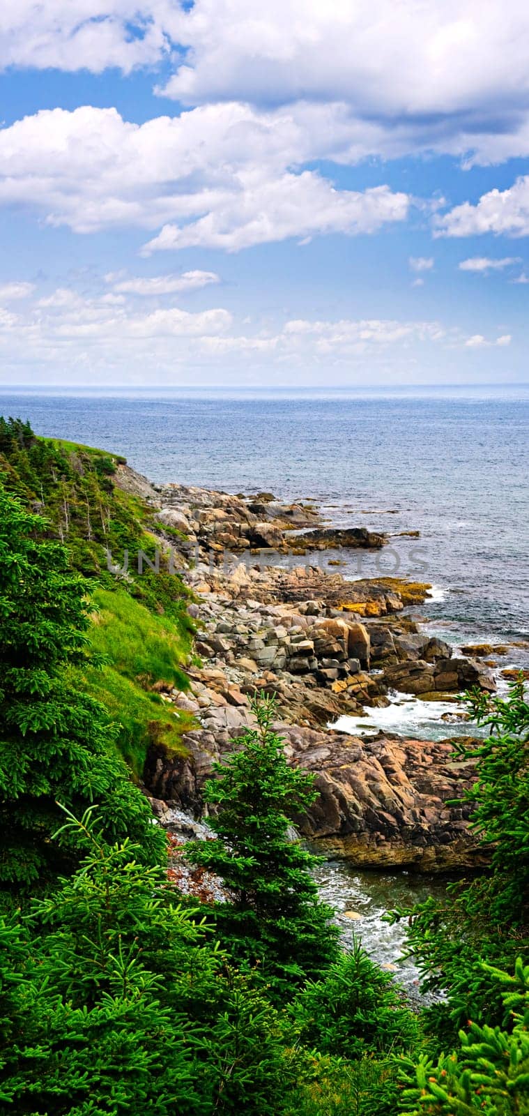 Atlantic coast in Newfoundland