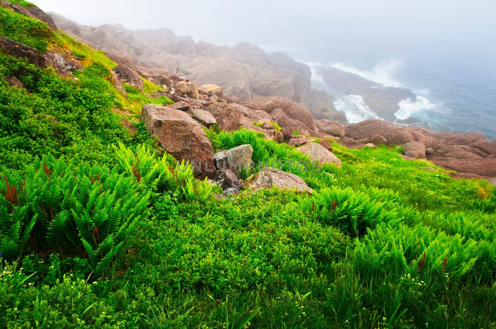 Atlantic coast in Newfoundland