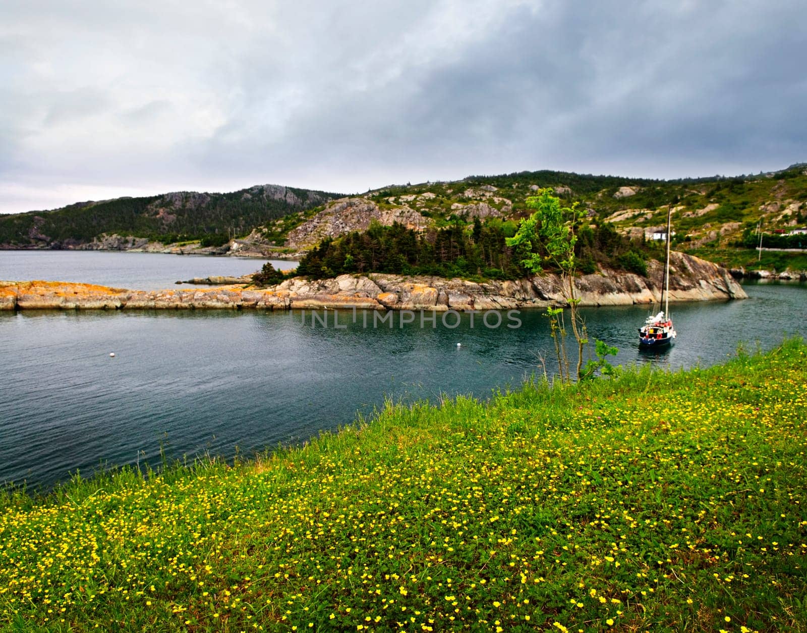 Atlantic coast in Newfoundland