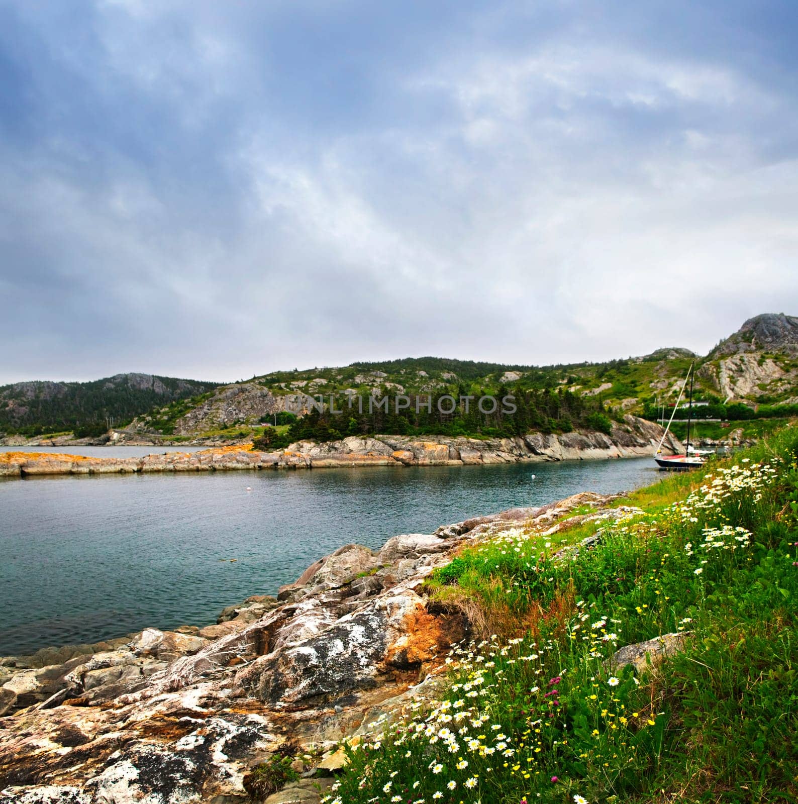 Atlantic coast in Newfoundland