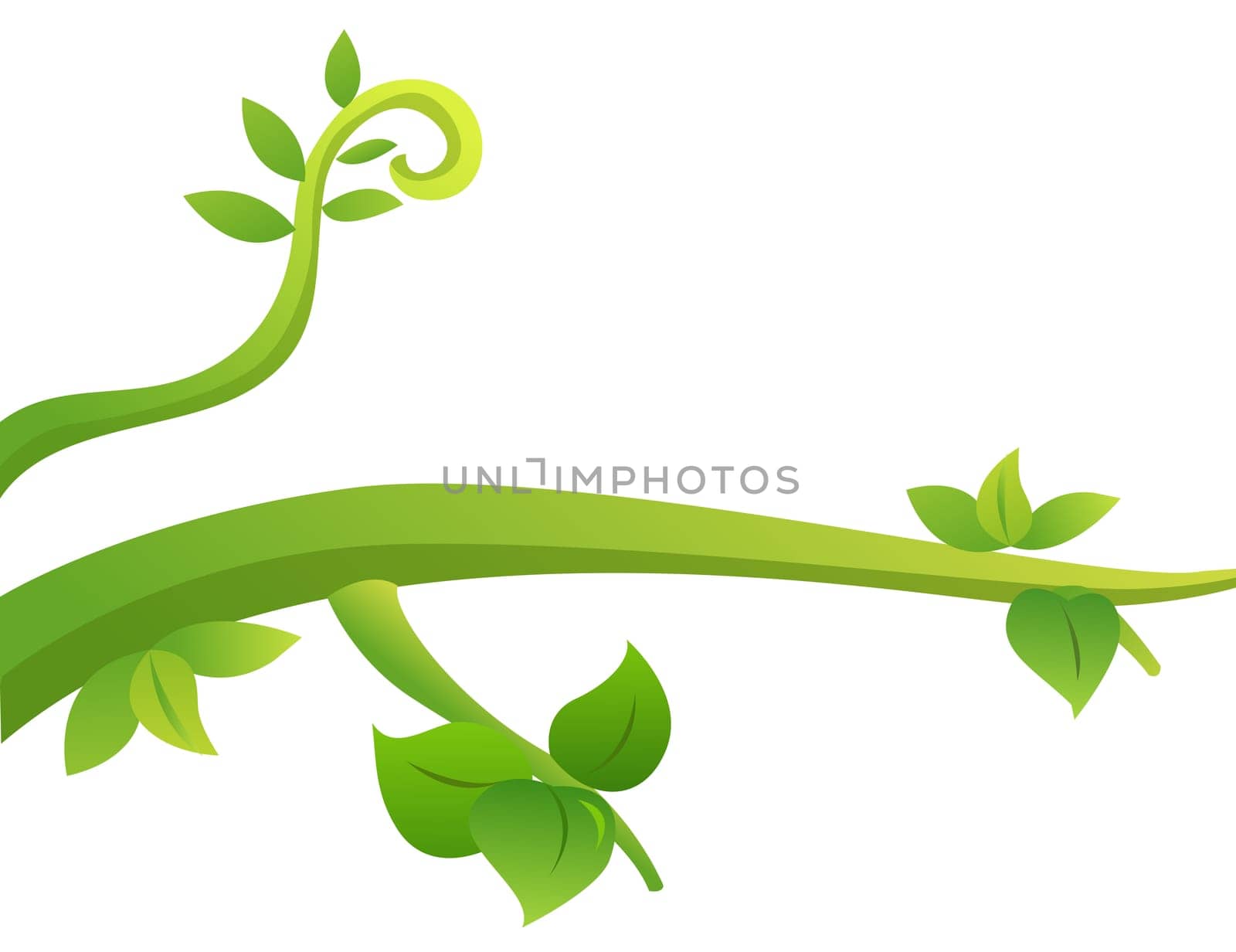 Row of leaves