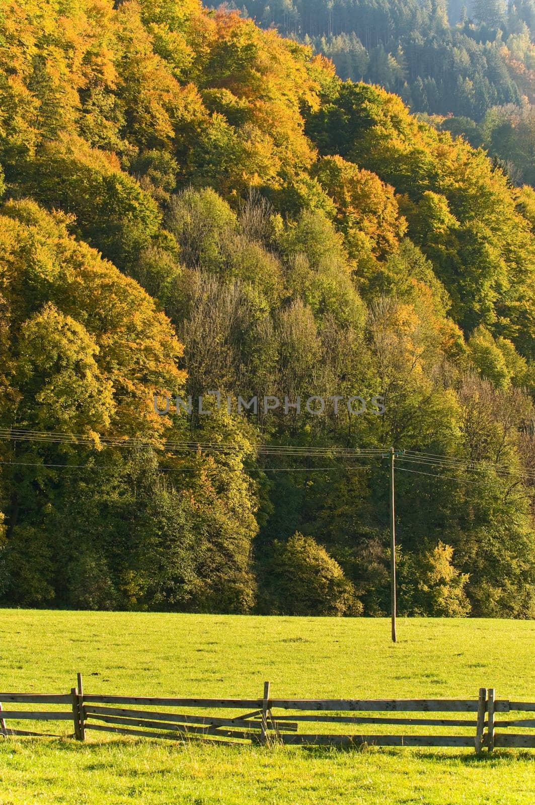 Autumn Landscape