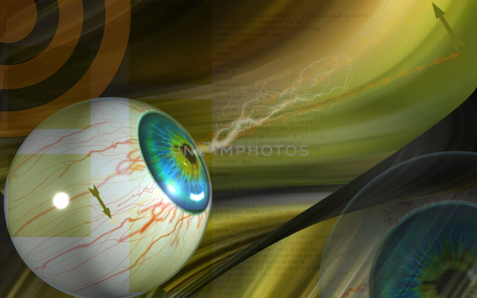 Eye