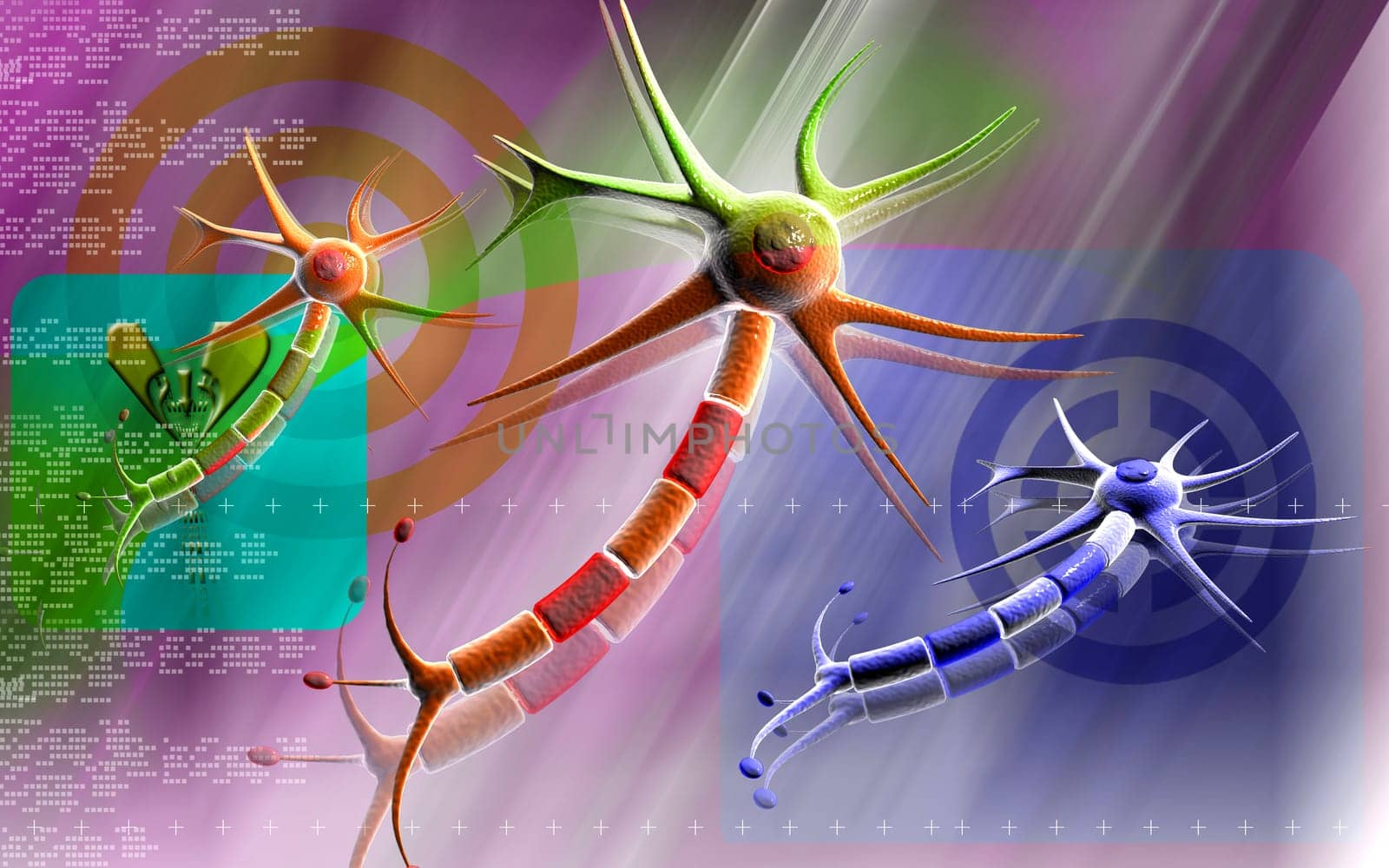 Neuron