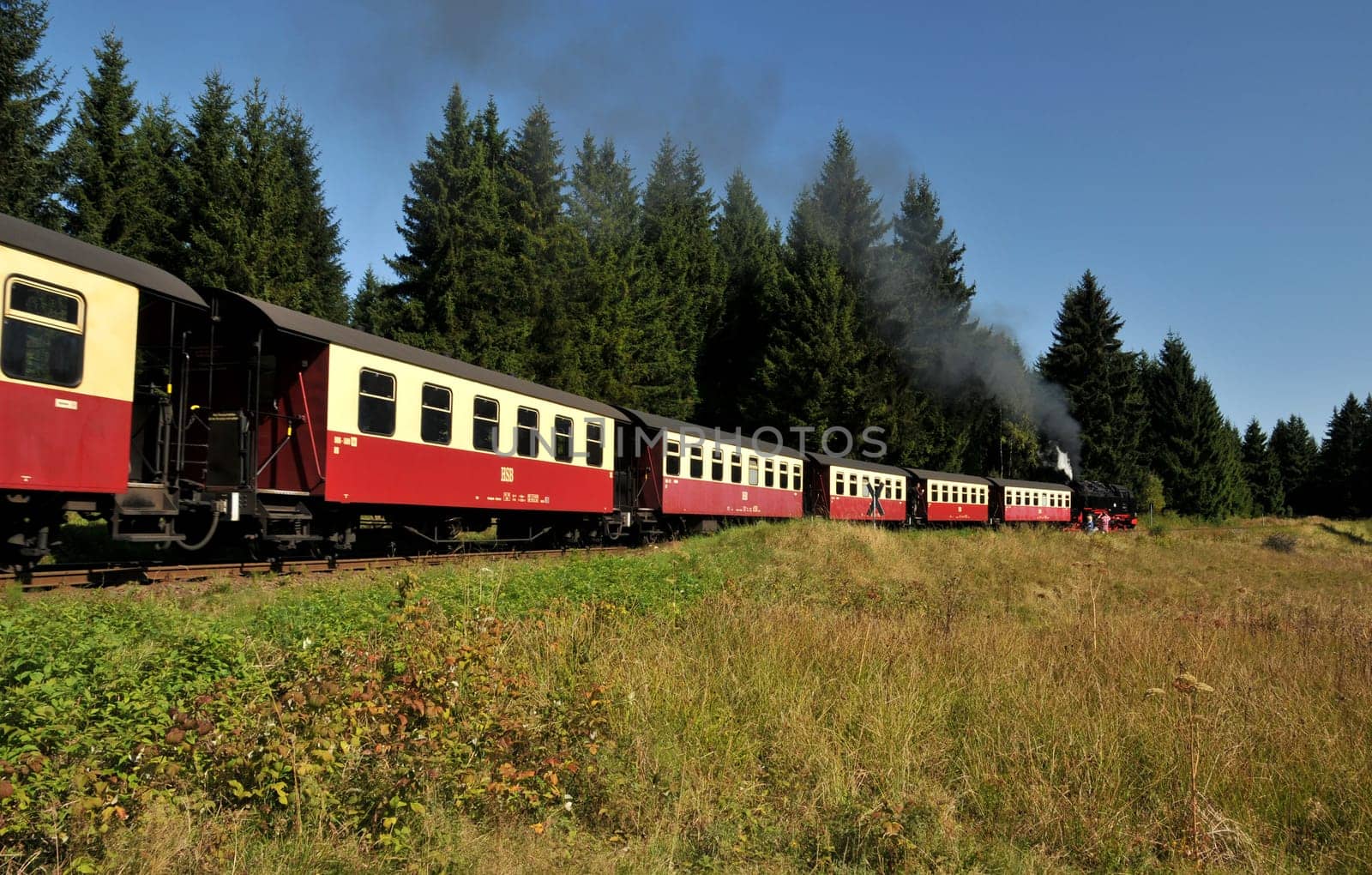 The Harz Narrow Gauge Railway