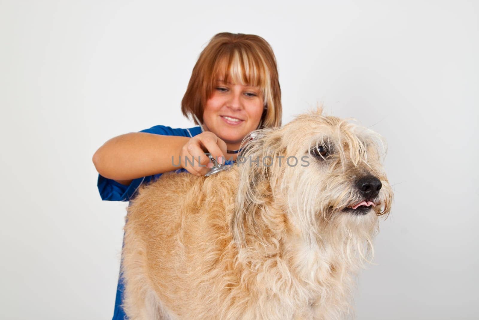 Veterinarian