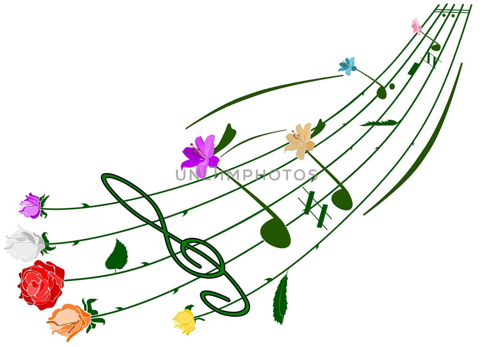 flower