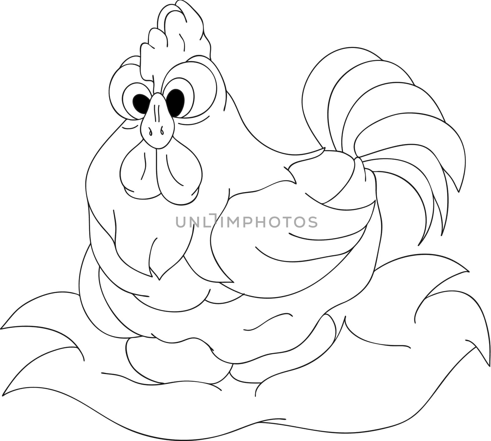 hen isolated