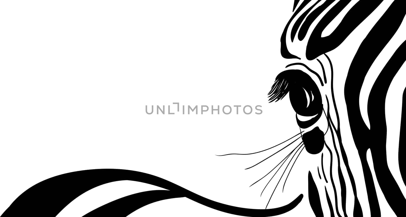 zebra banner