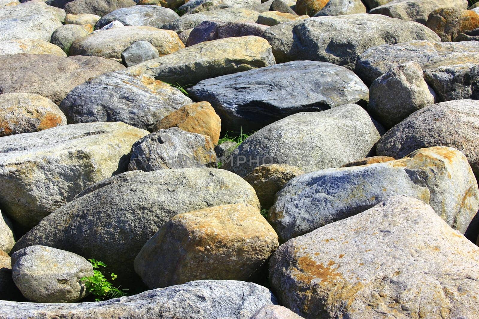 Erratic blocks