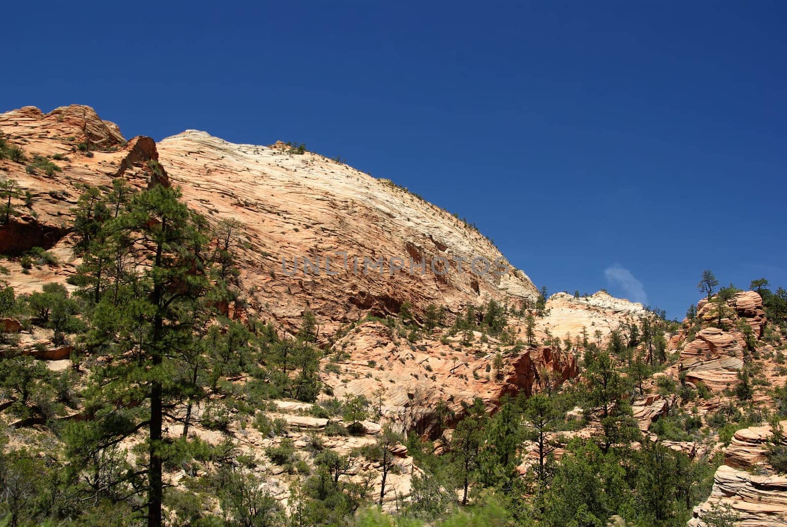 Zion,National Park