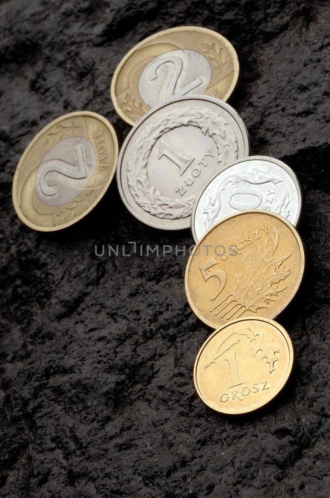 polish money