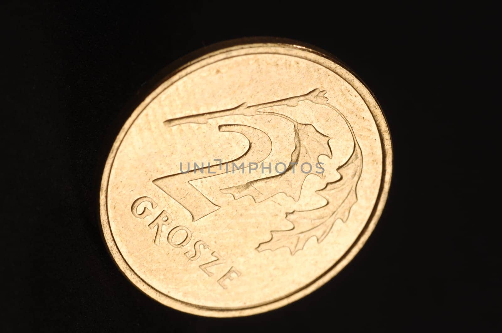 polish money