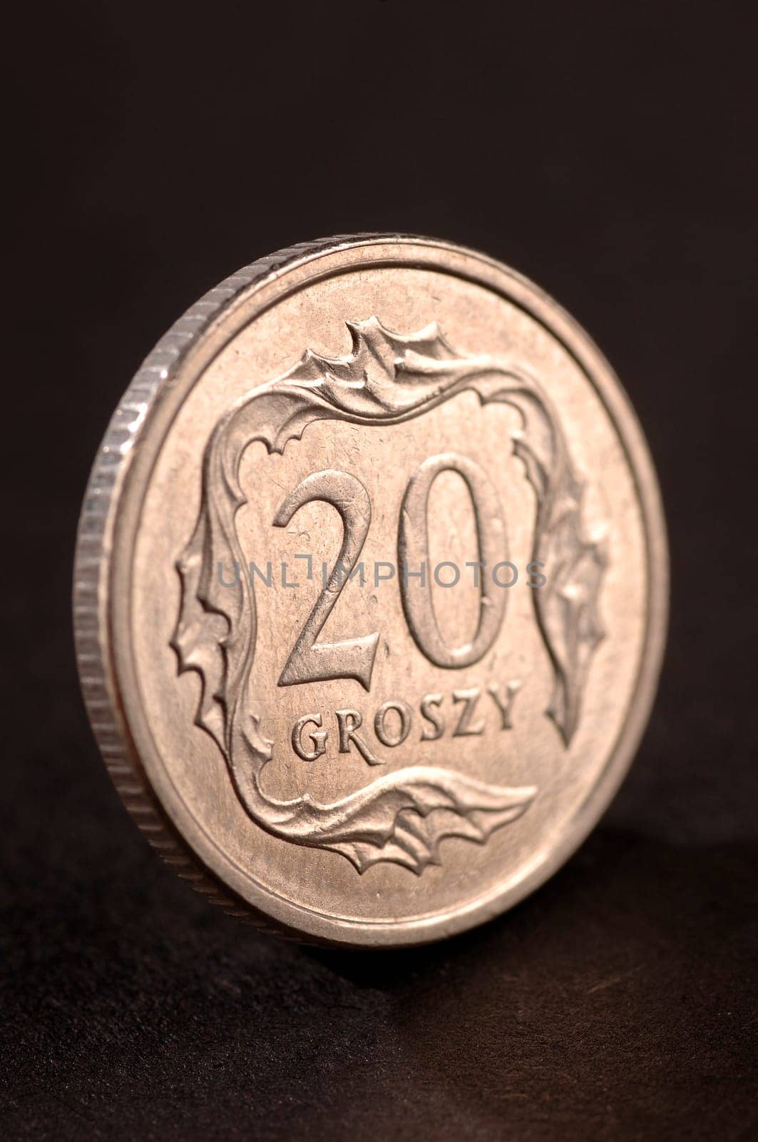 polish money