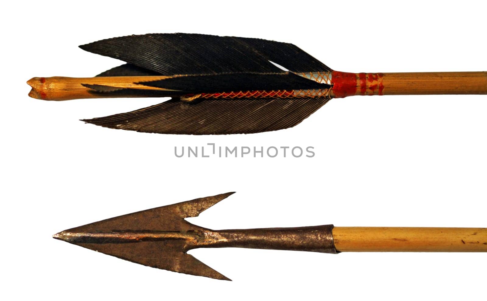 Hunting with bows and arrows has been practiced for many millennia by people from a wide variety of cultures. Some indigenous peoples still hunt in this way today. For example,the Yanomami hunt woolly monkeys,tapirs,puma,guns with man-sized bows and long arrows