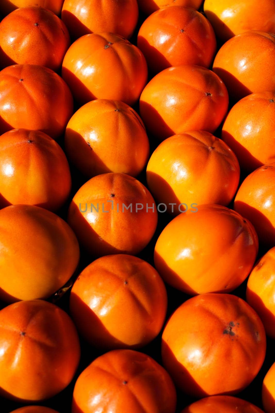persimmon fruits, kaki