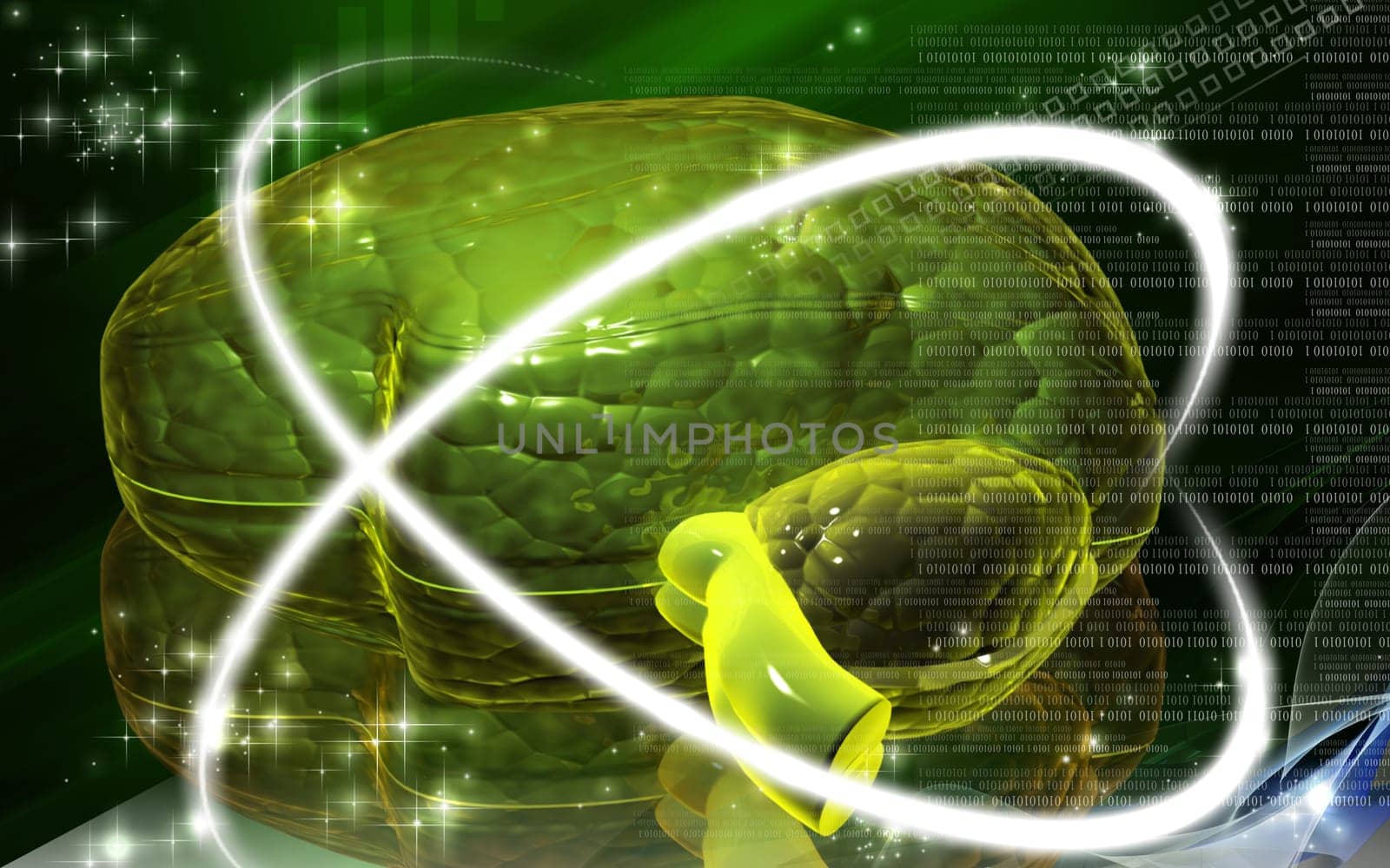 Brain