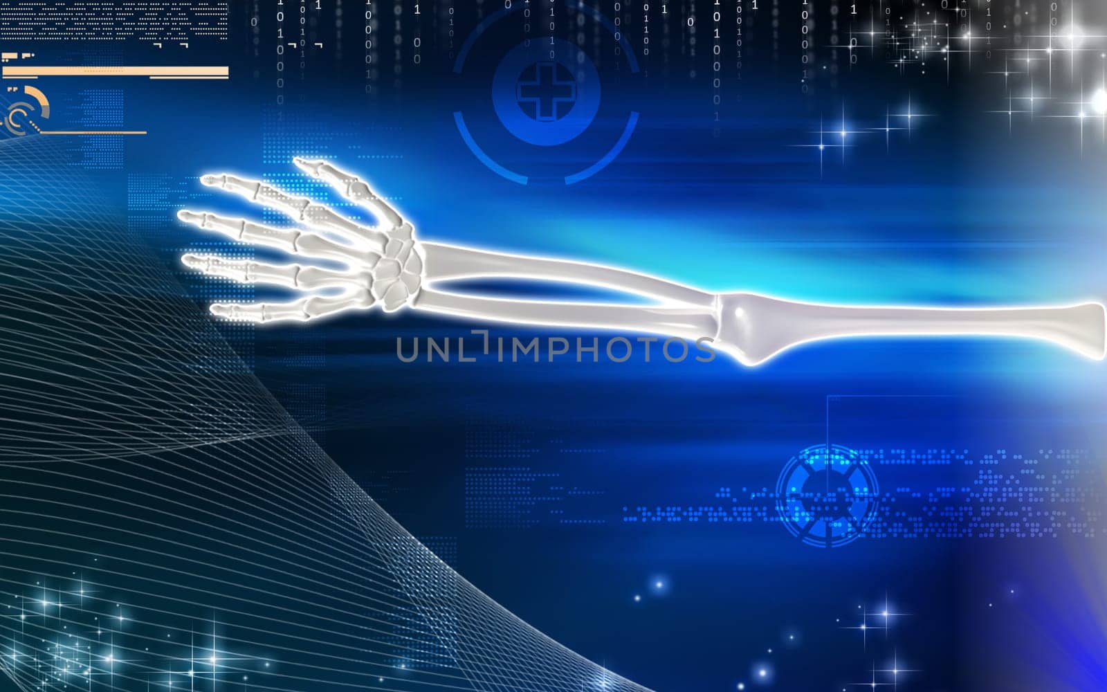 Hand bone