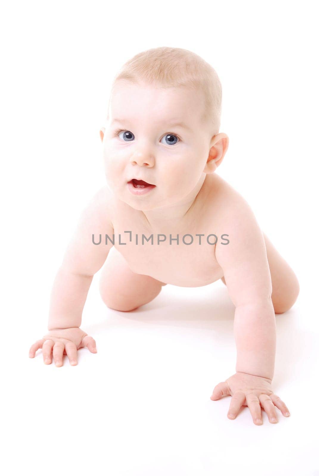 BabyPortrait