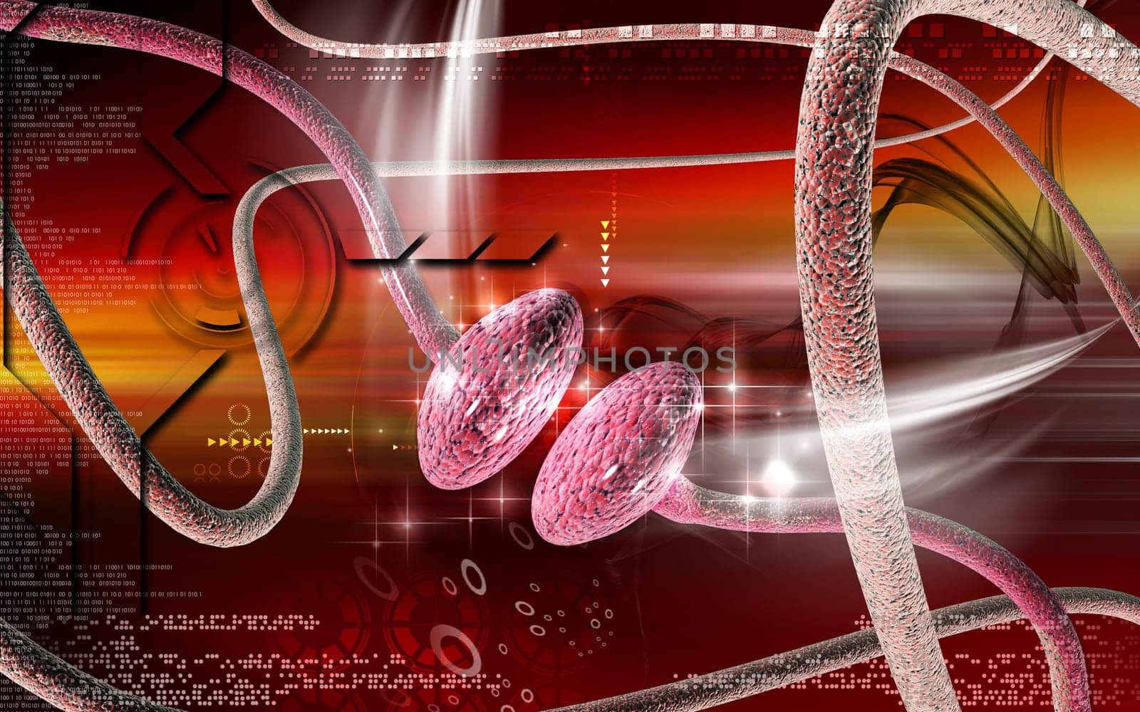 Synapse