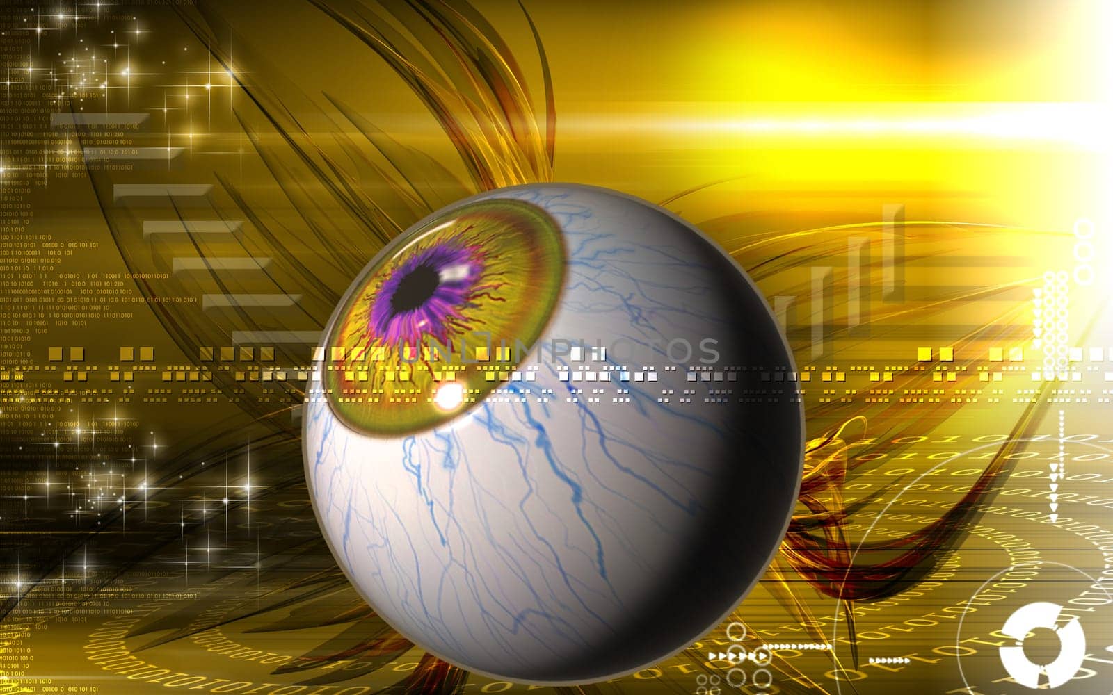 Eye