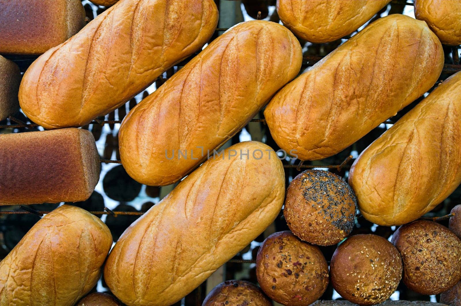Loaves of bread