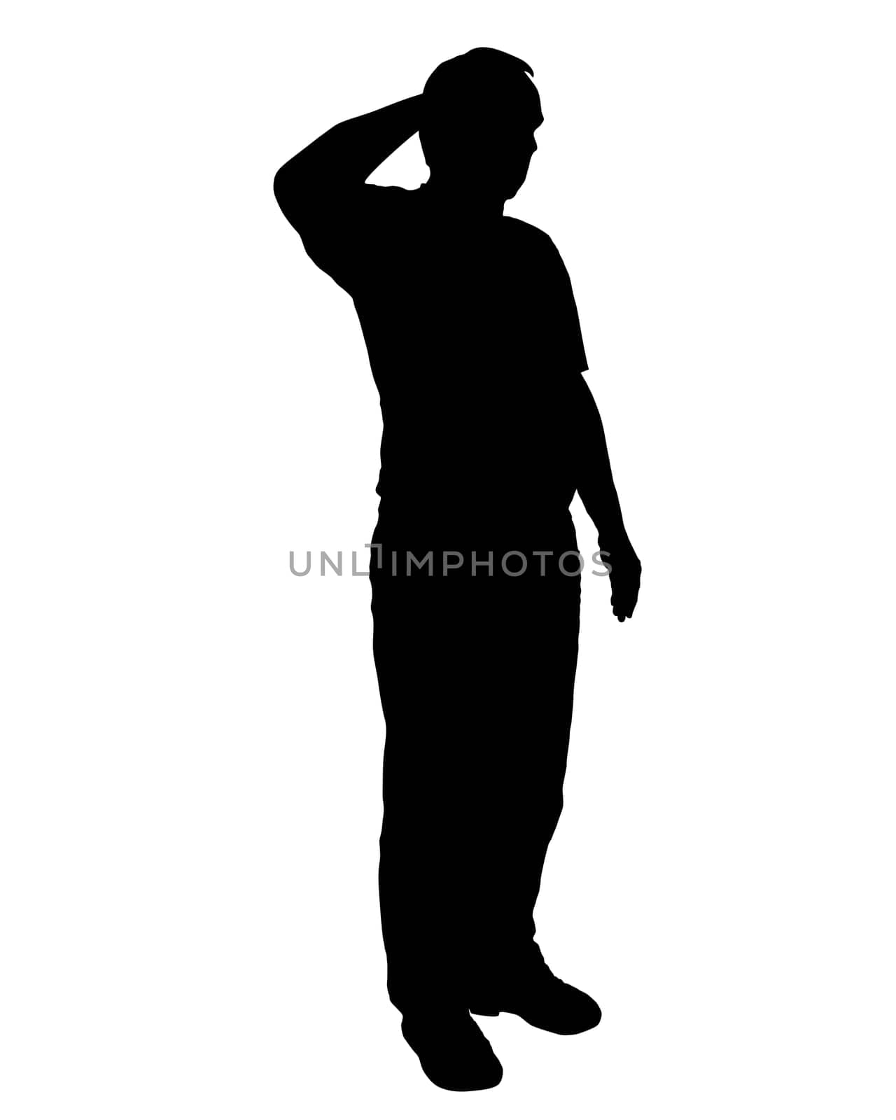 Military Salute