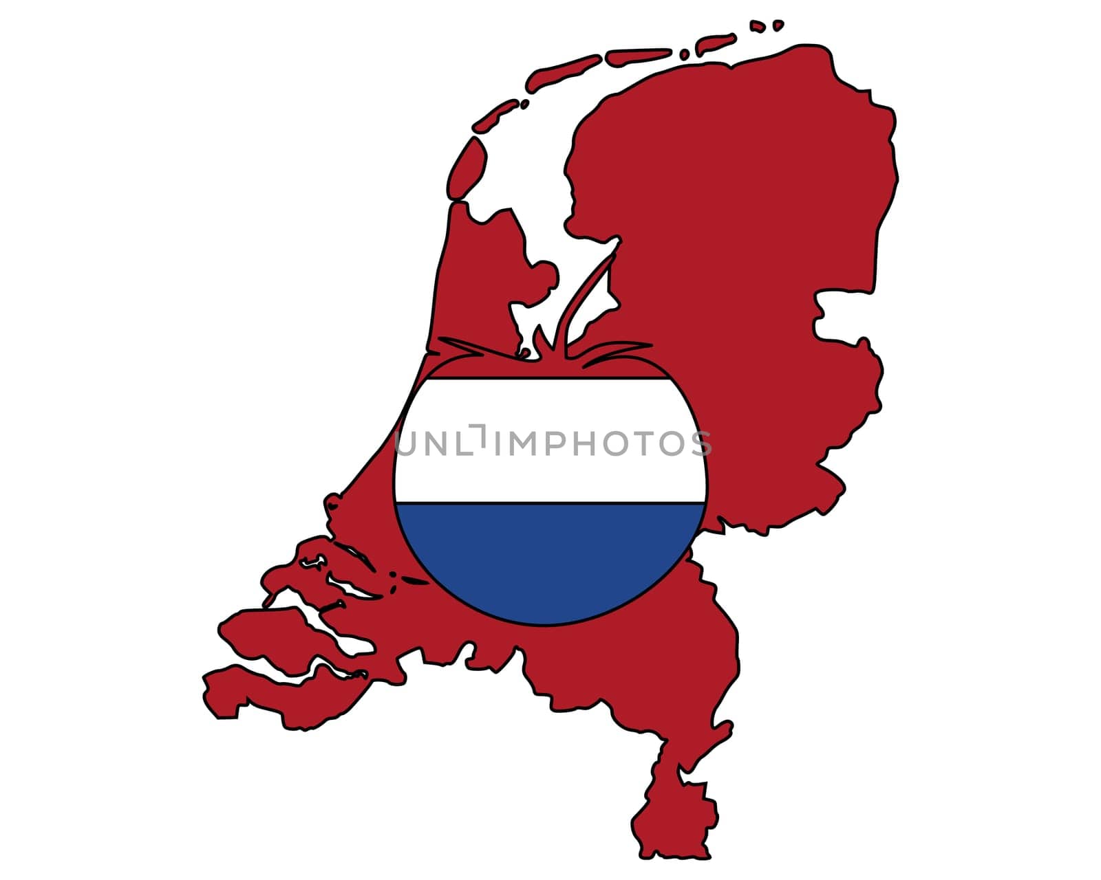 Dutch tomato