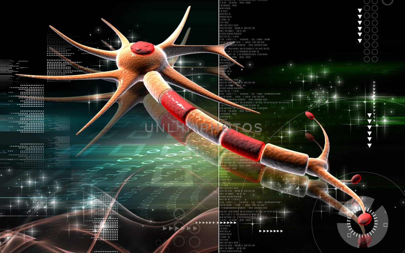 Neuron