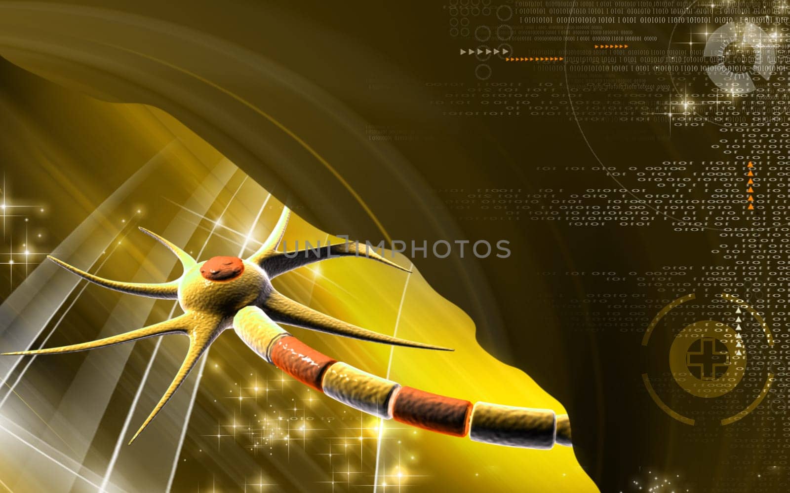 Neuron