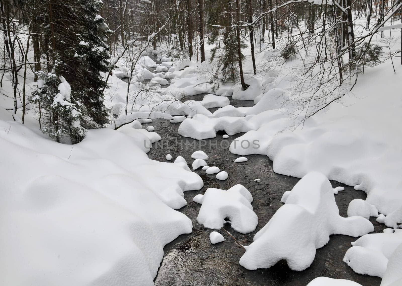 Bach in the Harz Mountains