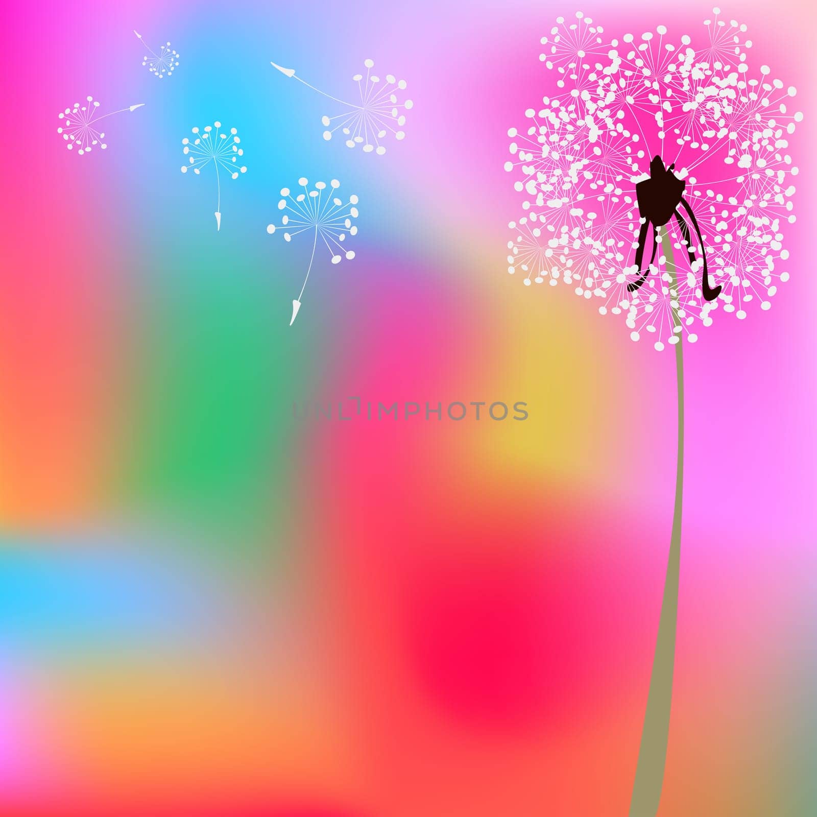 dandelion composition
