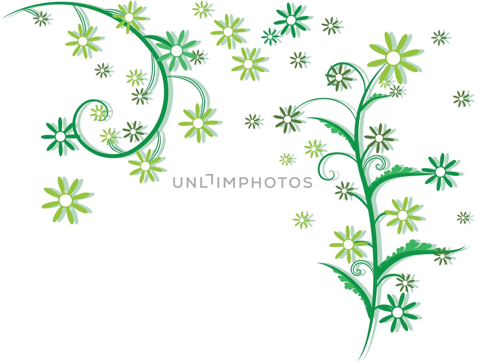 flowers foliage