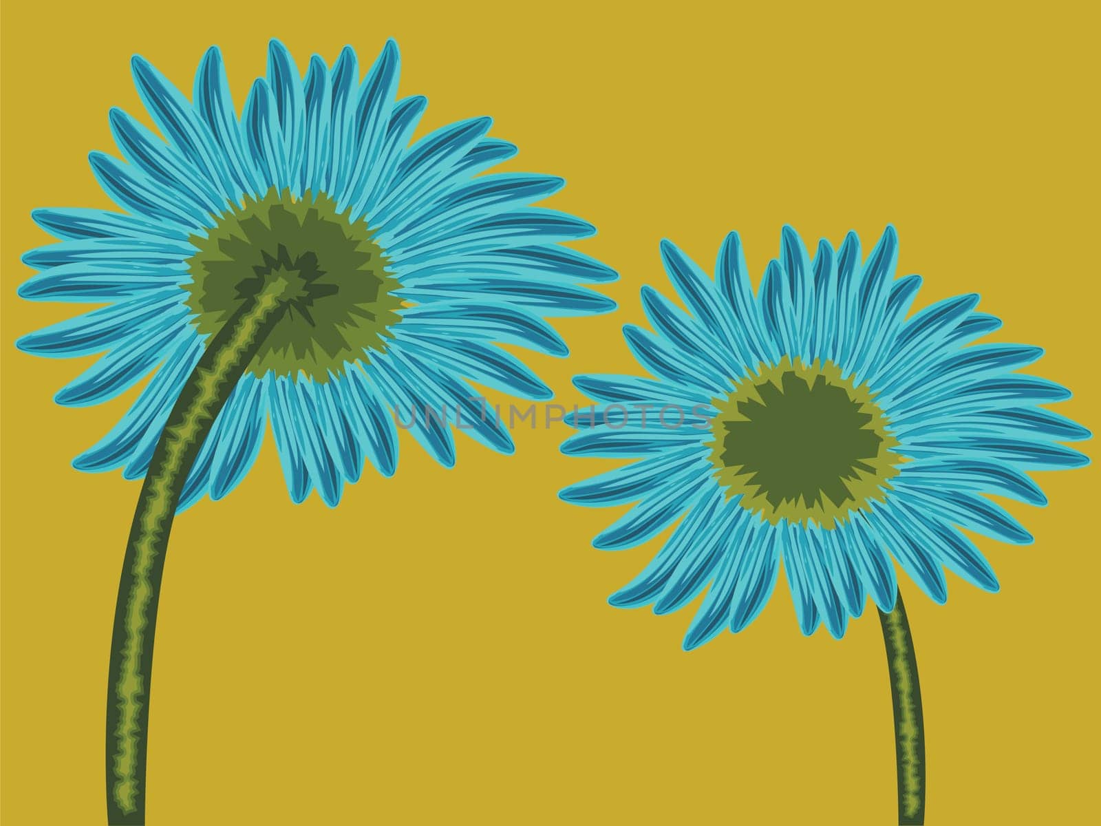 flower front and back