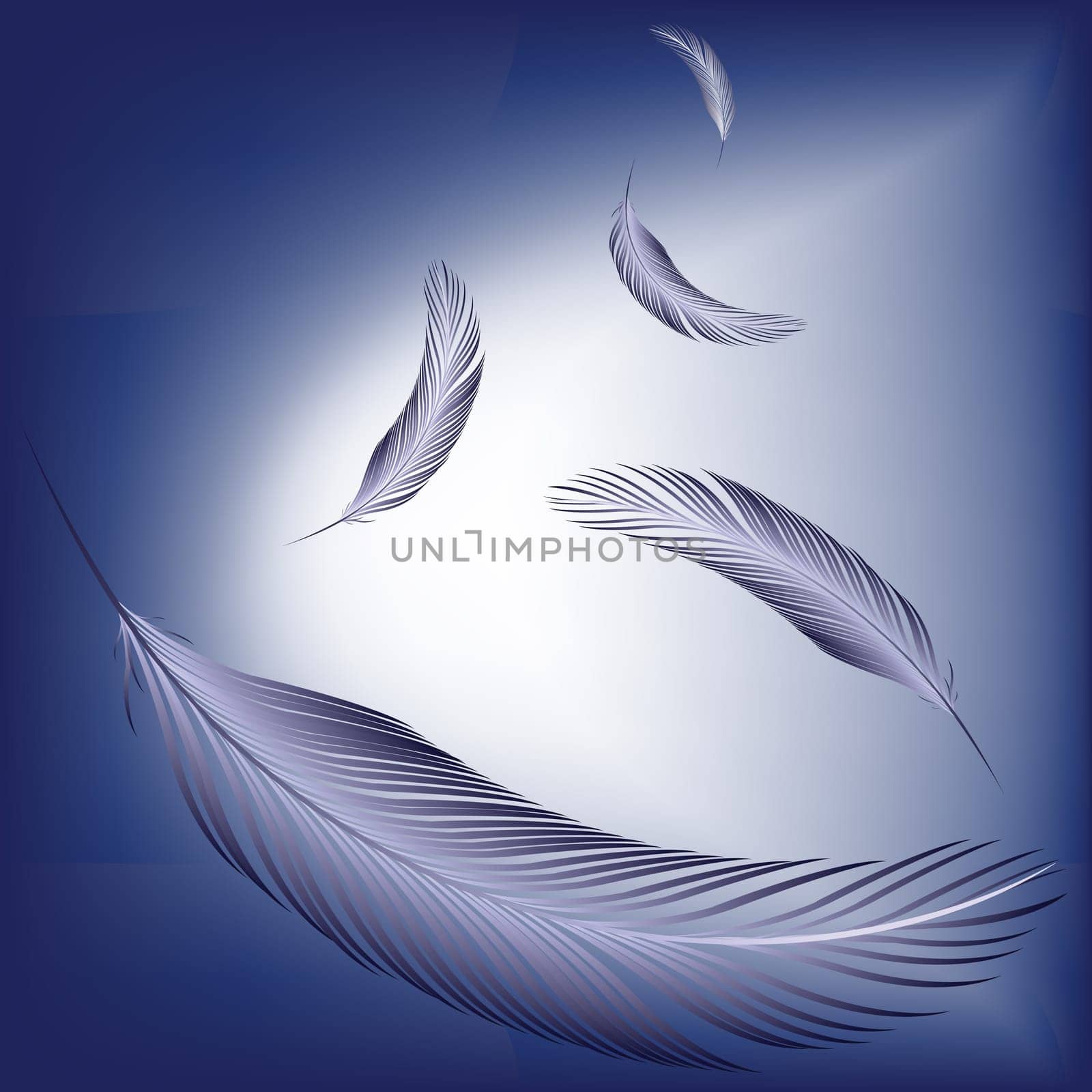 feathers in the wind