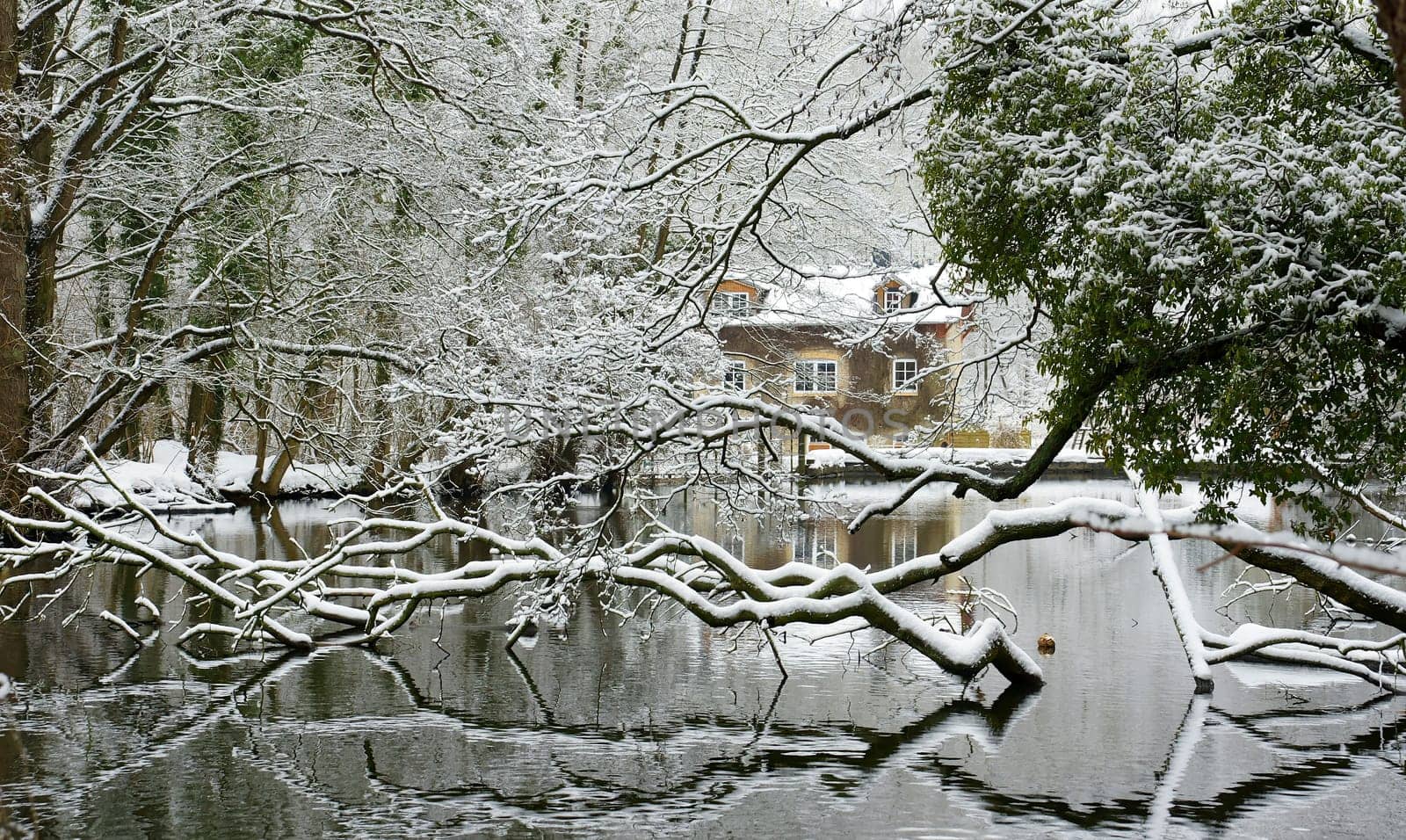 Winter idyll