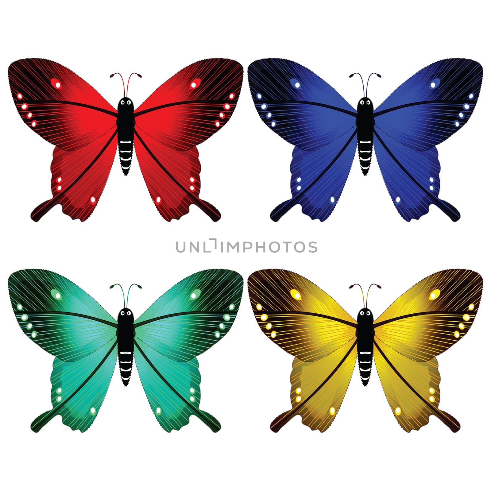 butterflies against white