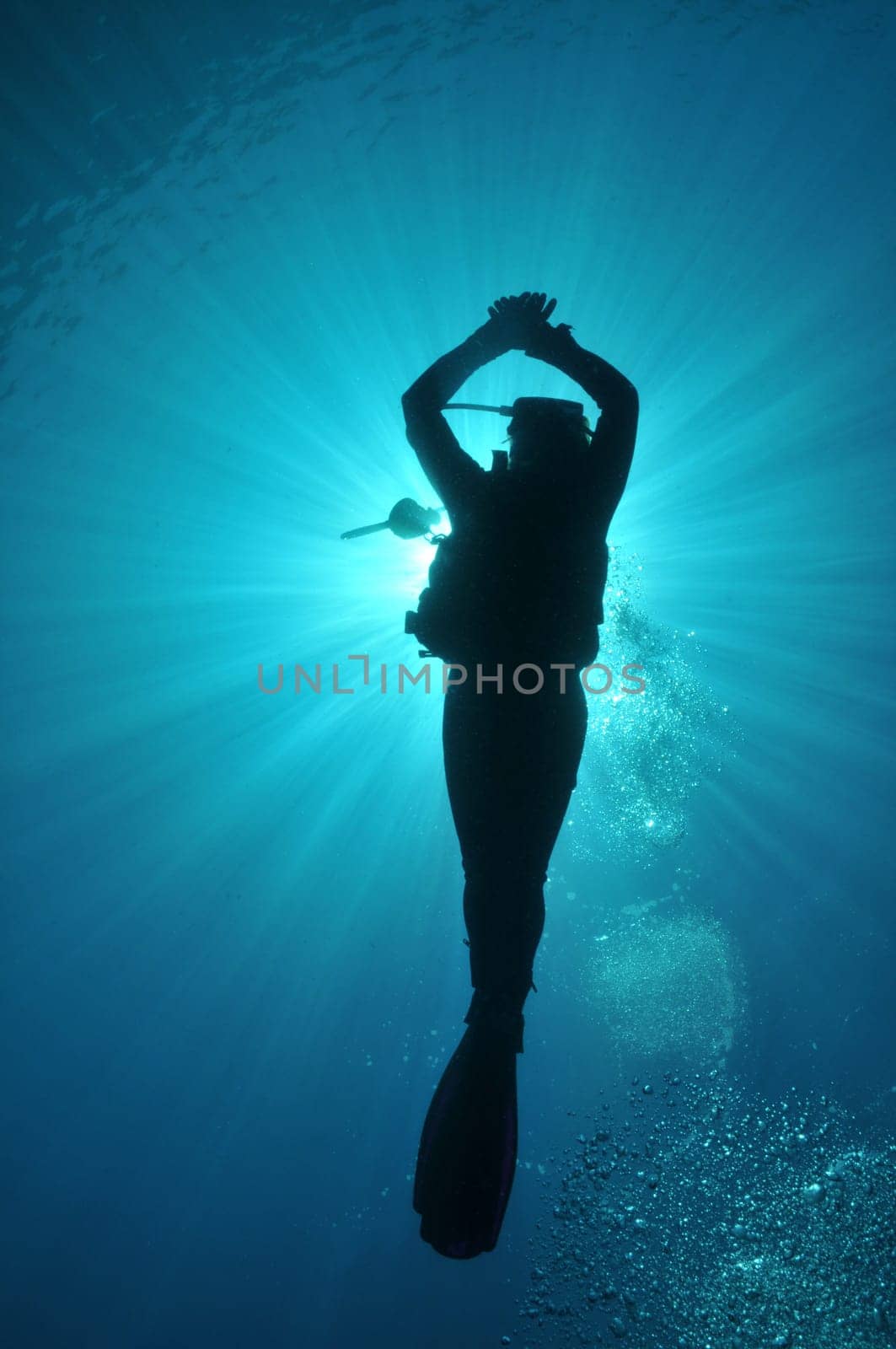 Female diver in backlight