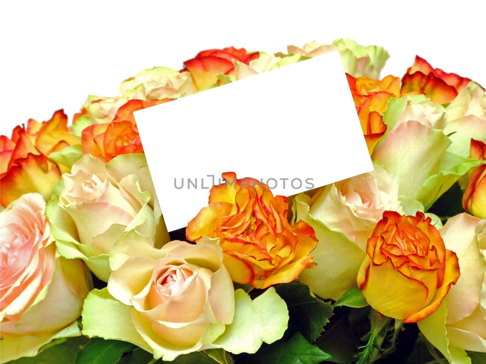 Bouquet of roses
