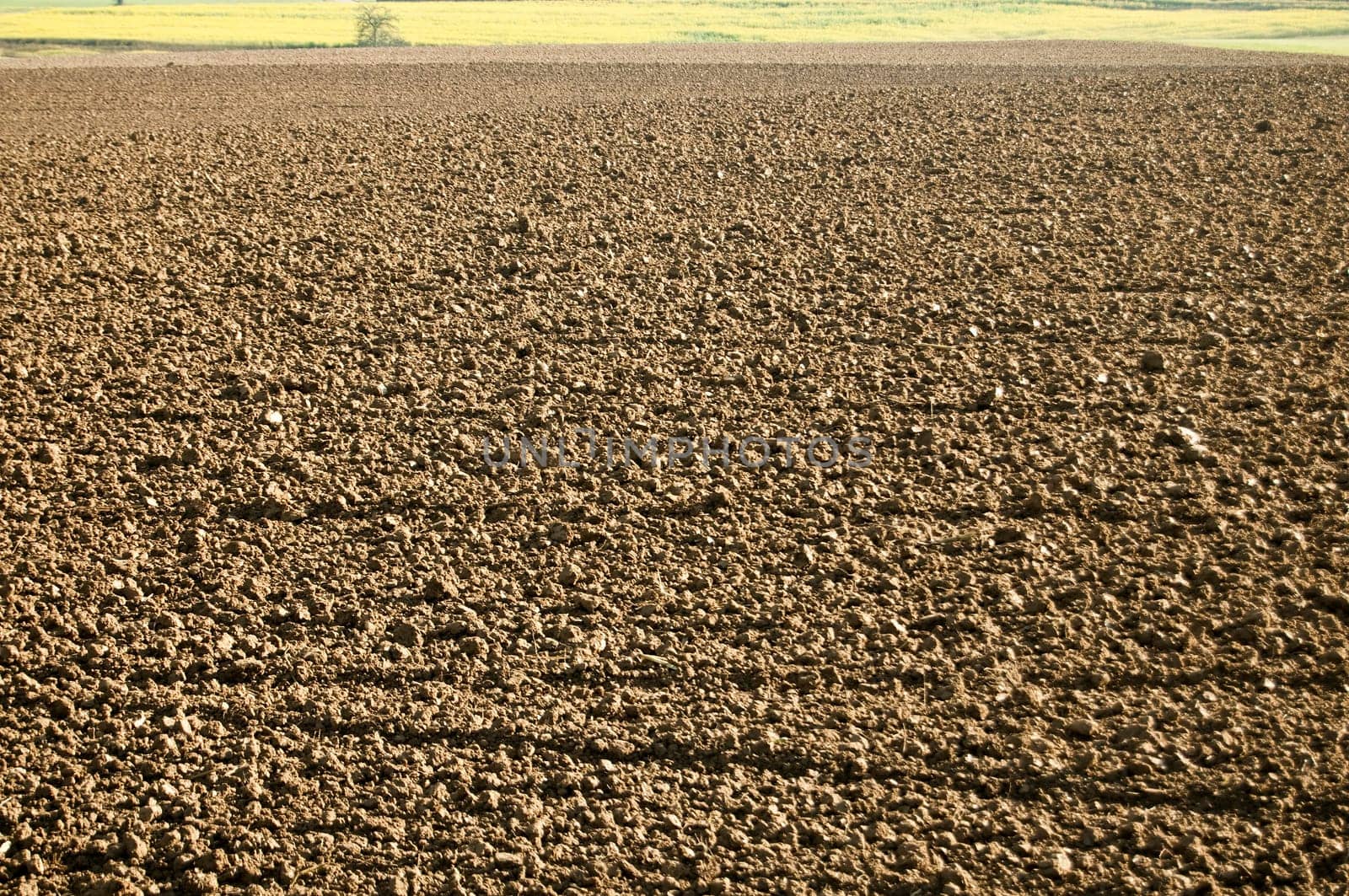 Field